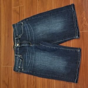 Banana Republic Denim Shorts Dark Wash Size 28/6